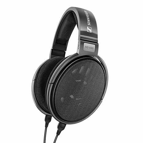 Sennheiser HD 650 Over Ear Wired Headphones Without Mic (Silver)